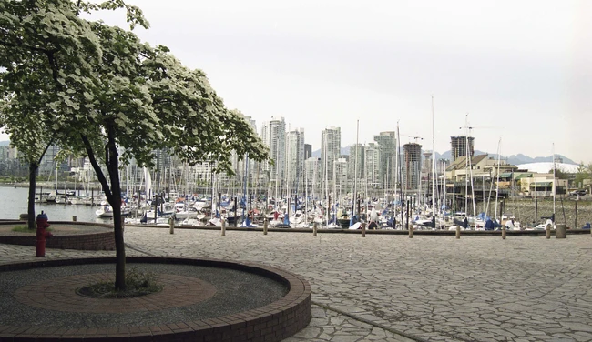 2024_19_214_004-Thumbnail Image.jpg