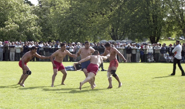 2024_19_551_018-Thumbnail Image.jpg