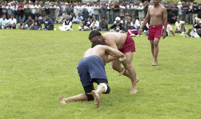 2024_19_567_004-Thumbnail Image.jpg