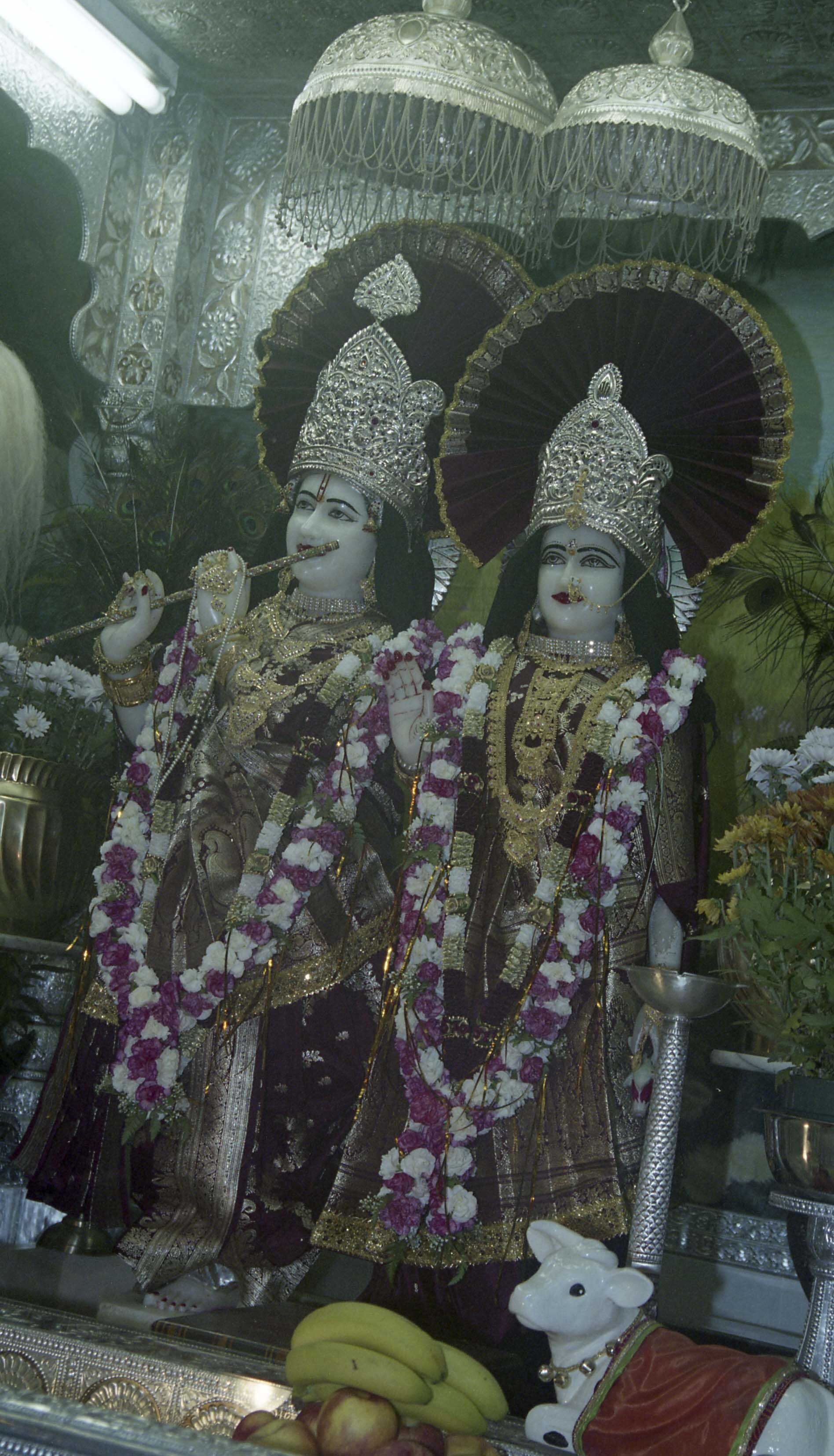 2024_19_616_022-Service File.jpg