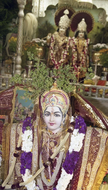 2024_19_617_033-Thumbnail Image.jpg