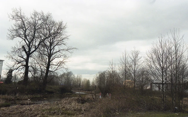 2024_19_16_013-Thumbnail Image.jpg