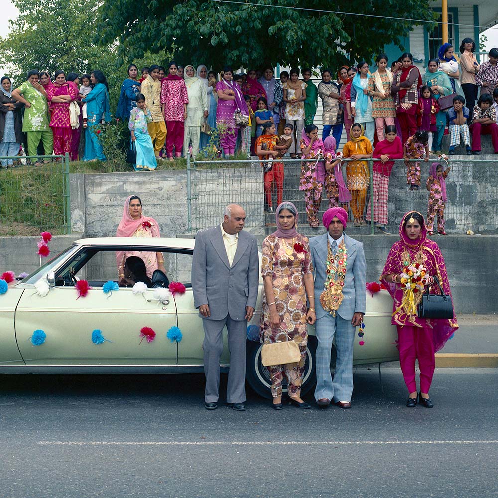 Del Monte Collection